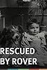 Primary photo for Rescued by Rover Primary photo for Rescued by Rover