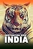 Primary photo for Destination Wild: India Primary photo for Destination Wild: India