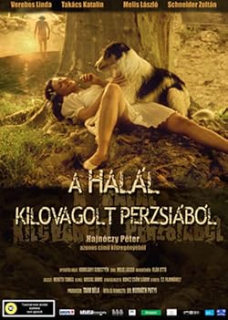 Poster of Out for Death (2006)