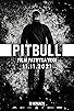 Primary photo for Pitbull Primary photo for Pitbull
