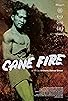 Primary photo for Cane Fire Primary photo for Cane Fire