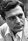 Marcello Mastroianni's primary photo Marcello Mastroianni's primary photo