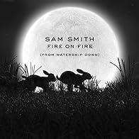 Primary photo for Sam Smith: Fire on Fire