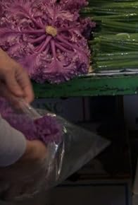 Primary photo for Finale