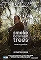 Smoke Between Trees's primary photo