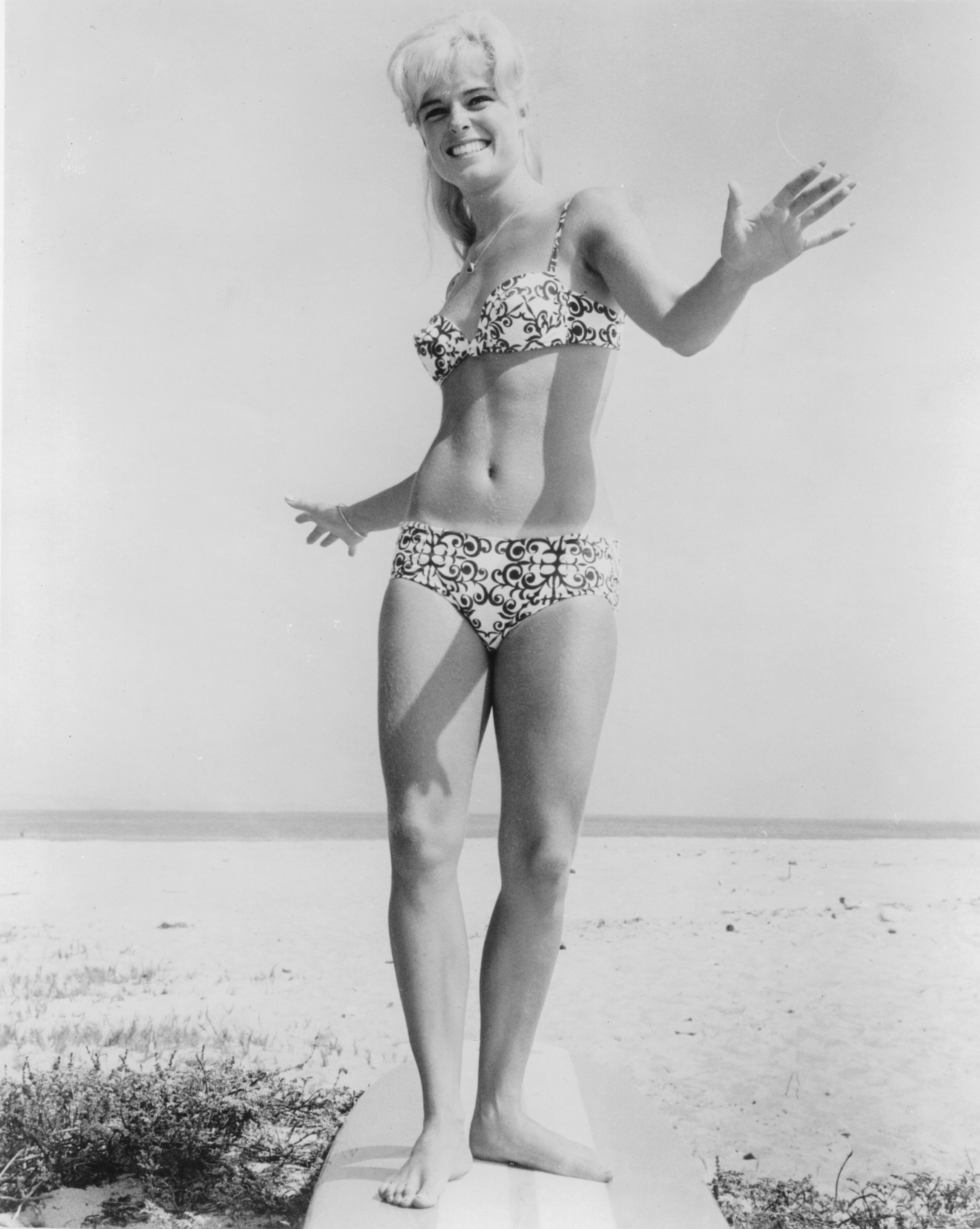 Surf Party (1964)