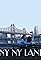 NY NY Land's primary photo