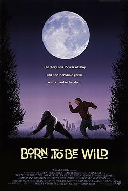 Poster of Born to Be Wild