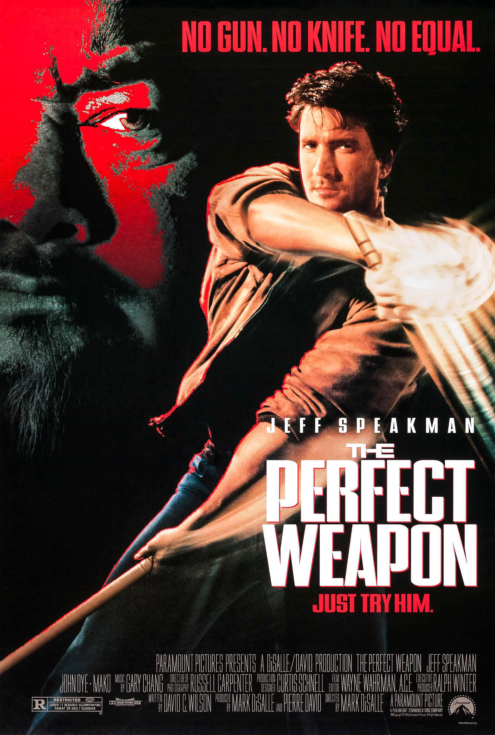 Poster of The Perfect Weapon