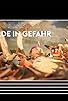 Primary photo for Erde in Gefahr