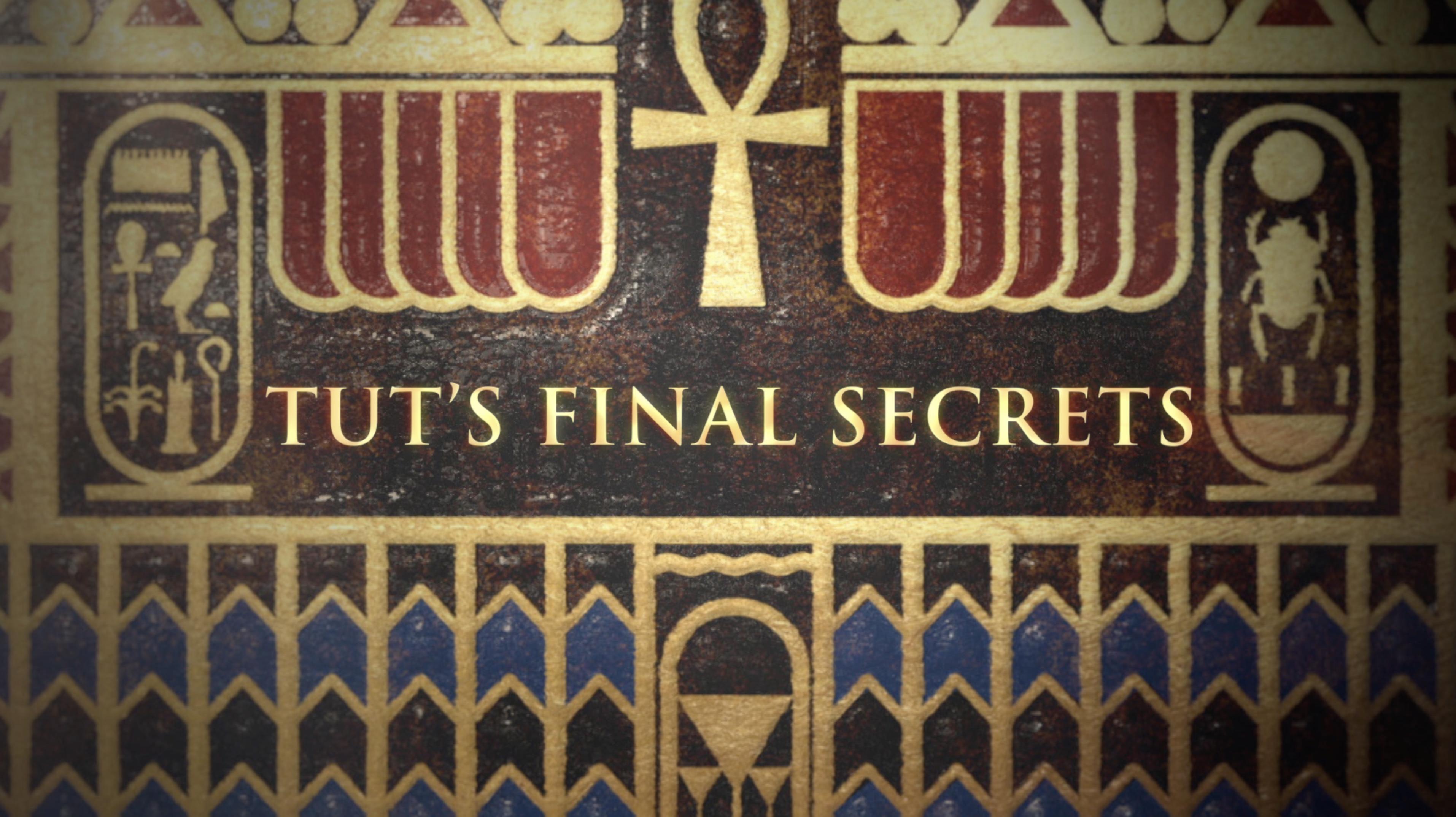 その他 King Tut&#39;s Final Secrets [DVD] [Import] MV5BMjhhMWJlMmUtNTgyMC00YzBiLW