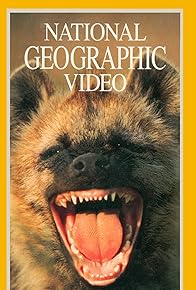 Primary photo for Eternal Enemies: Lions and Hyenas