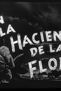 Primary photo for En la Hacienda de la Flor Primary photo for En la Hacienda de la Flor