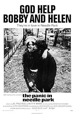 Poster of The Panic in Needle Park