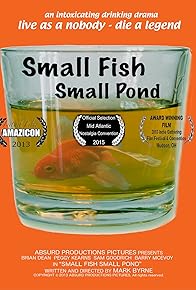 Primary photo for Small Fish Small Pond