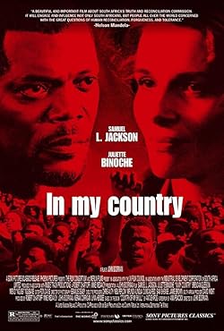 Poster of Country of My Skull