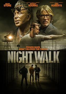 Poster of Night Walk