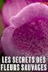 Primary photo for Les secrets des fleurs sauvages Primary photo for Les secrets des fleurs sauvages
