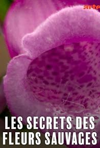 Primary photo for Les secrets des fleurs sauvages Primary photo for Les secrets des fleurs sauvages