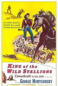 Primary photo for King of the Wild Stallions Primary photo for King of the Wild Stallions
