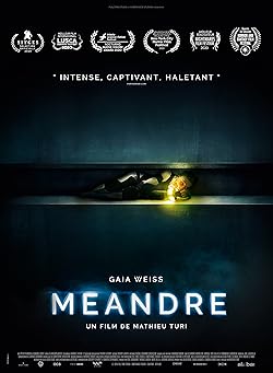 Poster of Meander