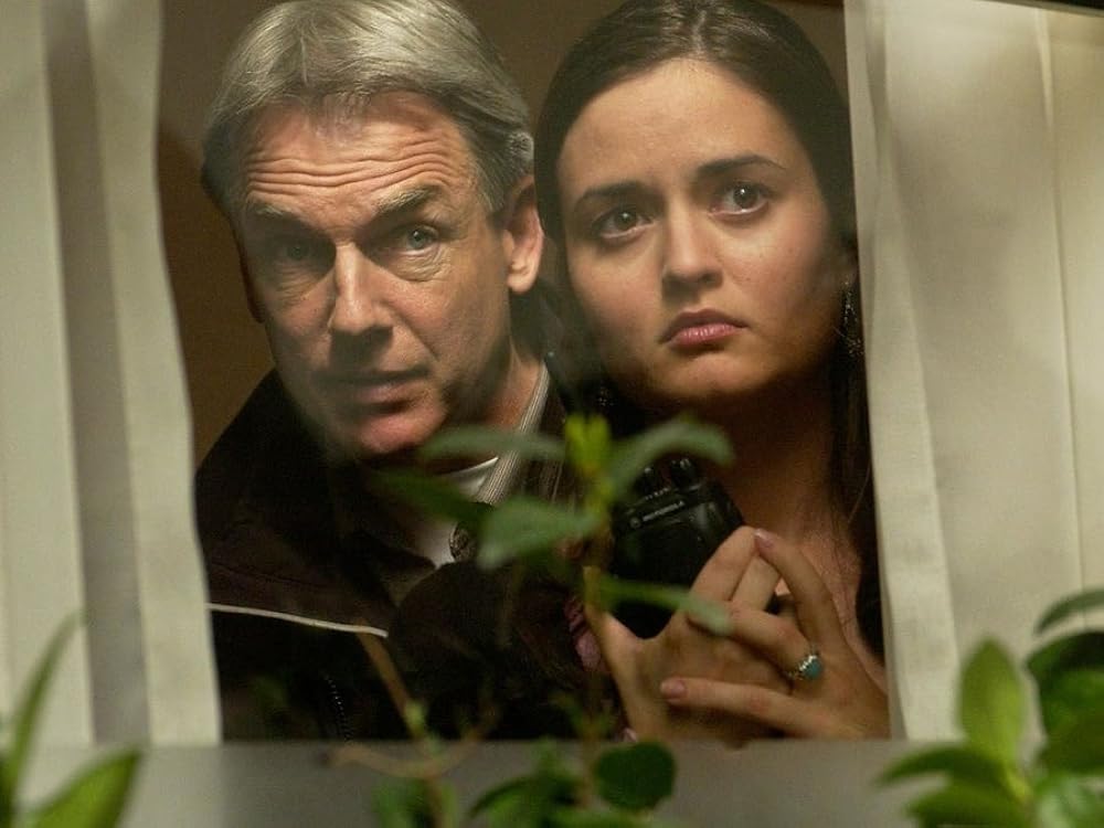 MOVB ncis！ NCIS THIRD SEASON DVD SEALED,Mark Harmon,Pauley Perrette