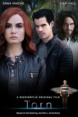 Poster of Torn: A Wicked Trilogy