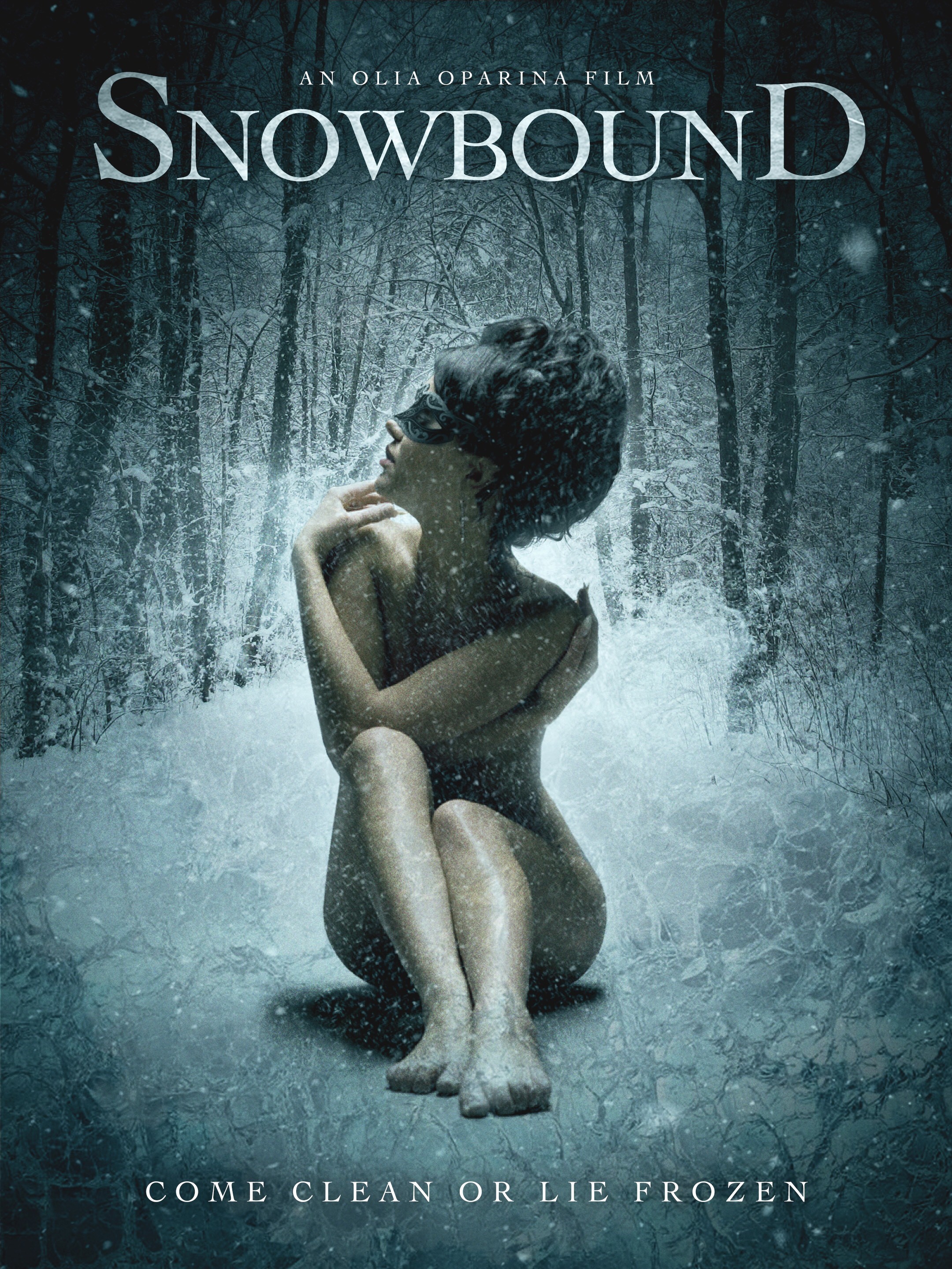 Poster of Snowbound