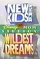New Kids on the Block at Disney-MGM Studios: Wildest Dreams's primary photo