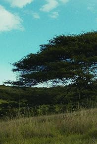 Primary photo for Hermanos