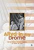 Primary photo for Altyd in My Drome
