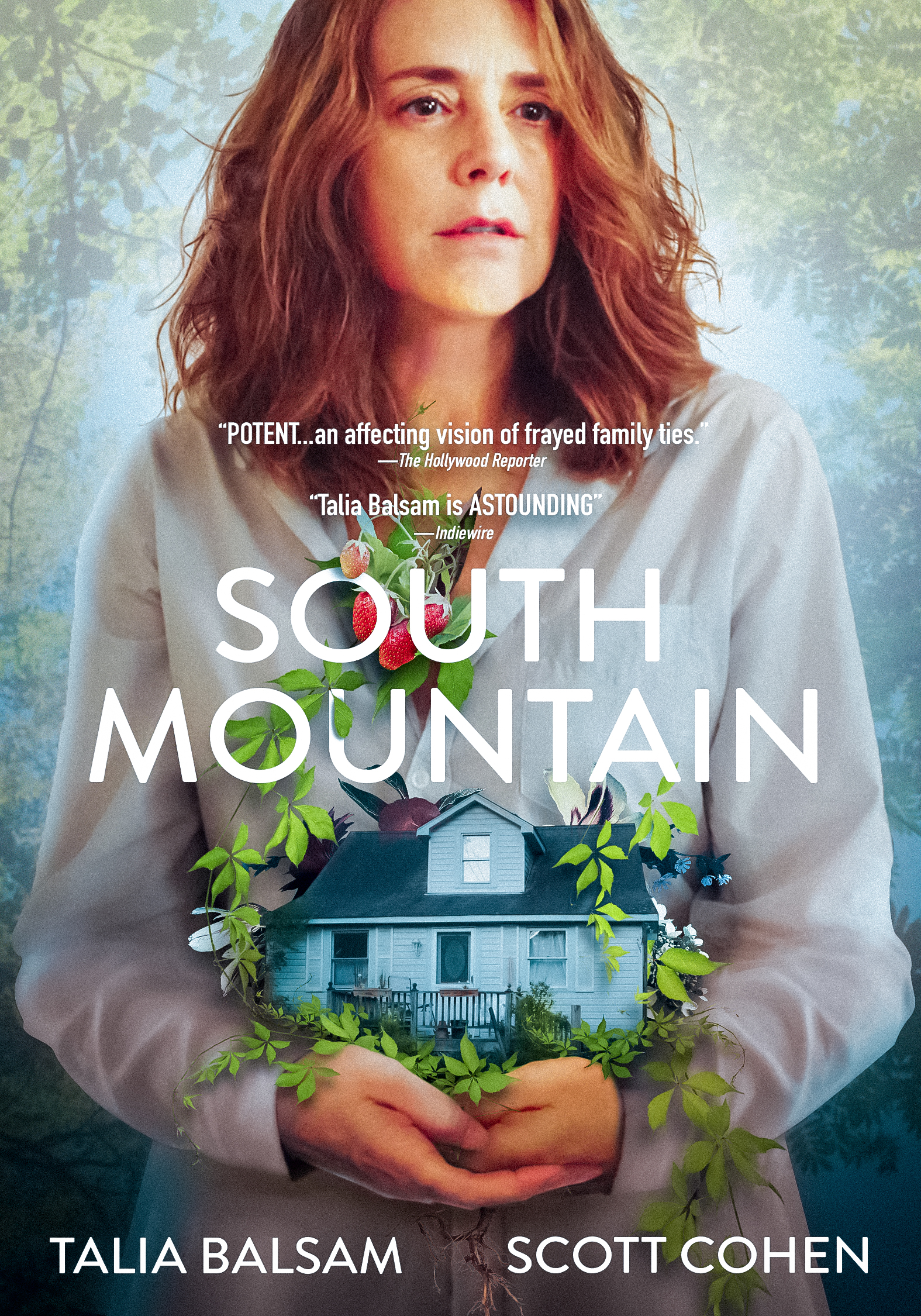 Poster of South Mountain