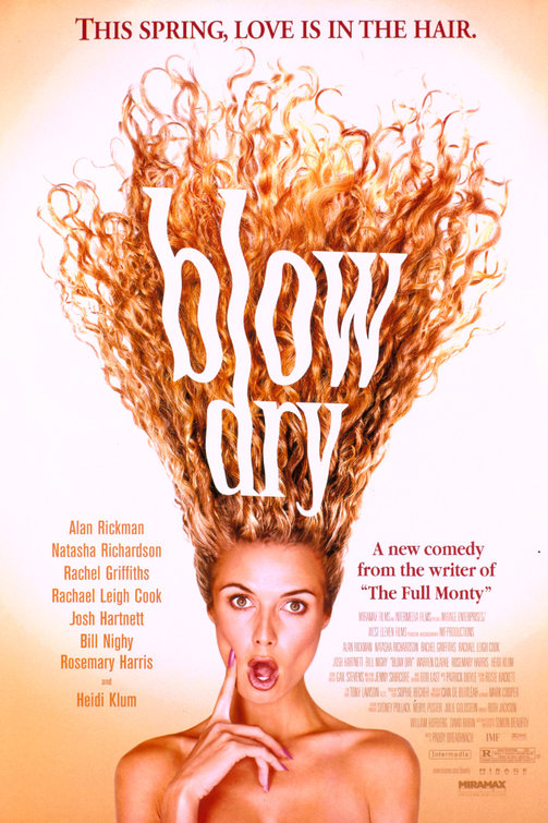 Poster of Blow Dry