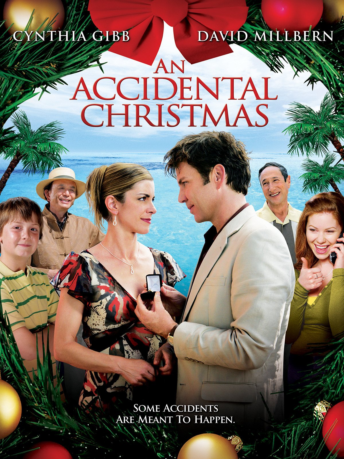 Poster of An Accidental Christmas