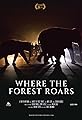 Where the Forest Roars's primary photo