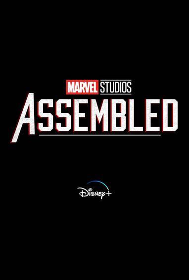 Poster of Marvel Studios: Assembled