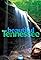 Beautiful Tennessee's primary photo