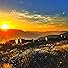 Primary photo for Abundance Love (Golden State) AfterCoast Primary photo for Abundance Love (Golden State) AfterCoast