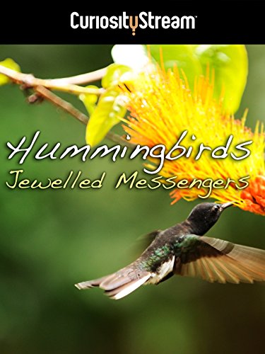 Hummingbirds: Jewelled Messengers (TV Movie 2012) - IMDb
