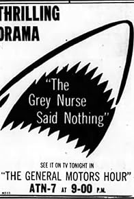 Primary photo for The Grey Nurse Said Nothing Primary photo for The Grey Nurse Said Nothing