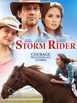 Poster of Storm Rider (2013)