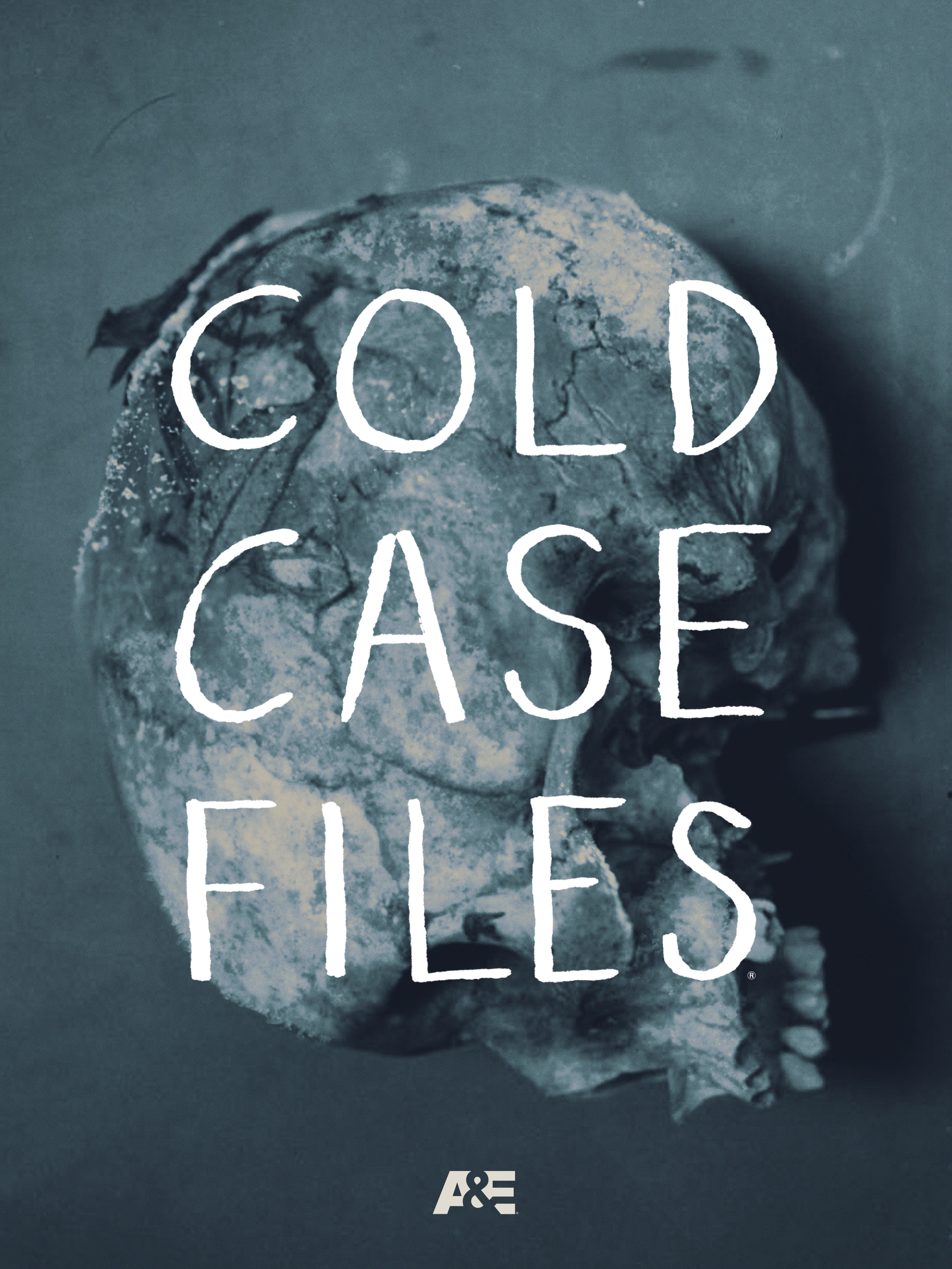 Poster of Cold Case Files