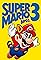 Super Mario Bros. 3's primary photo