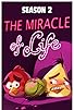 Primary photo for The Miracle of Life Primary photo for The Miracle of Life