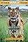 India: Kingdom of the Tiger's primary photo