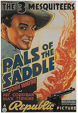 Poster of Pals of the Saddle