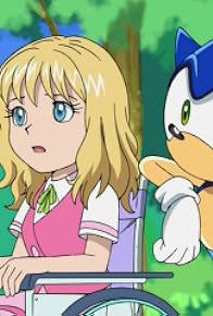 Primary photo for Chase After the Hero Sonic! Primary photo for Chase After the Hero Sonic!