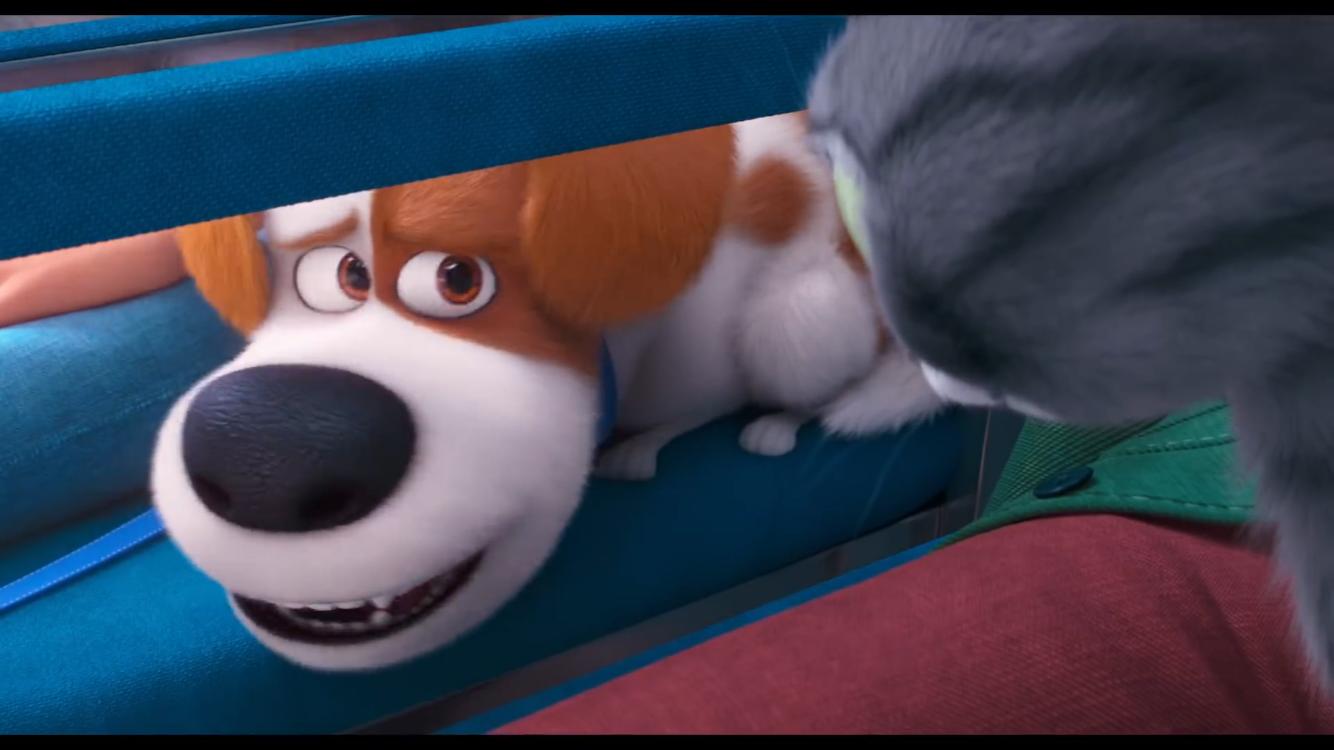 Patton Oswalt in Pets: A Vida Secreta dos Bichos 2 (2019)
