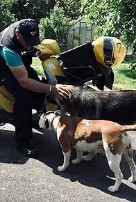 Primary photo for Nedjeljko Goricki