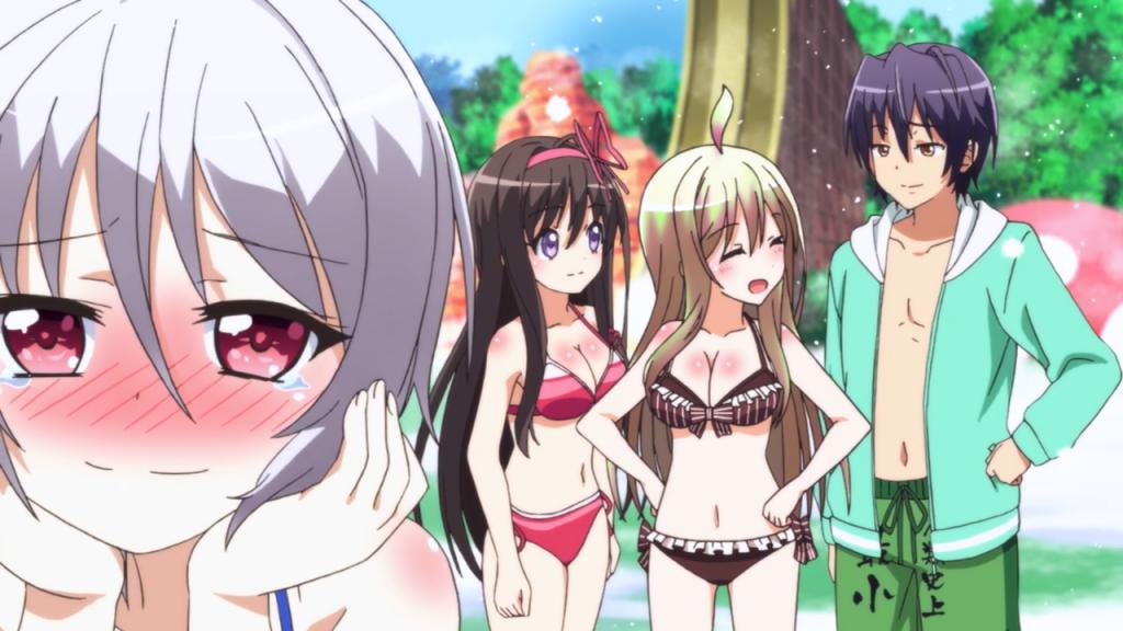50 Harem Anime Where the MC Isn’t a Wimp